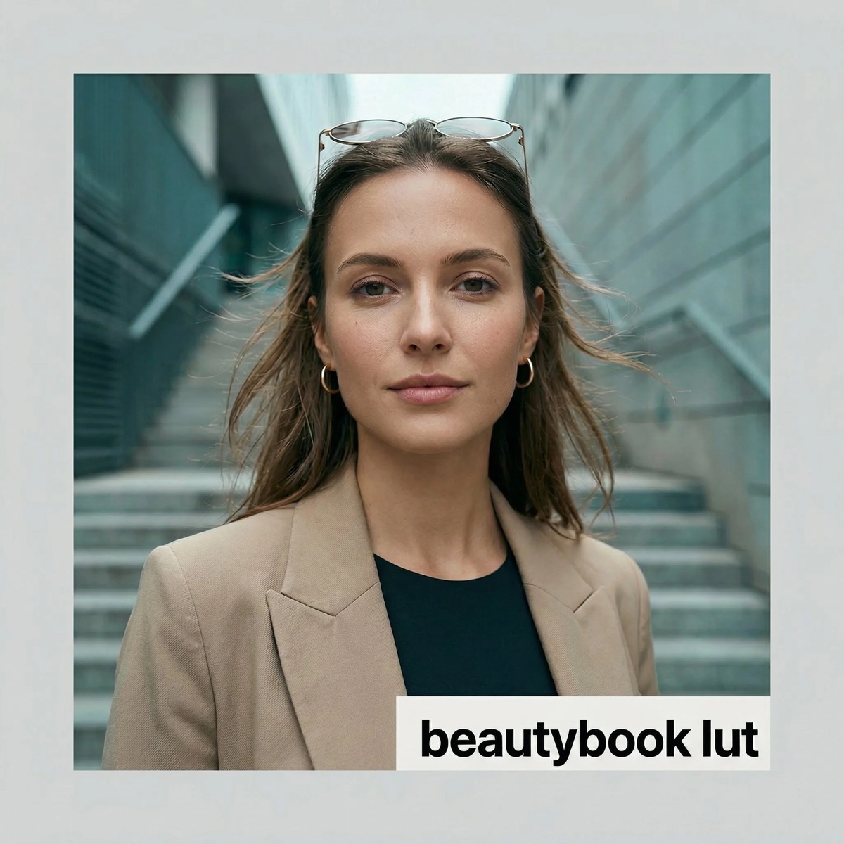 Portada de beautybook lut