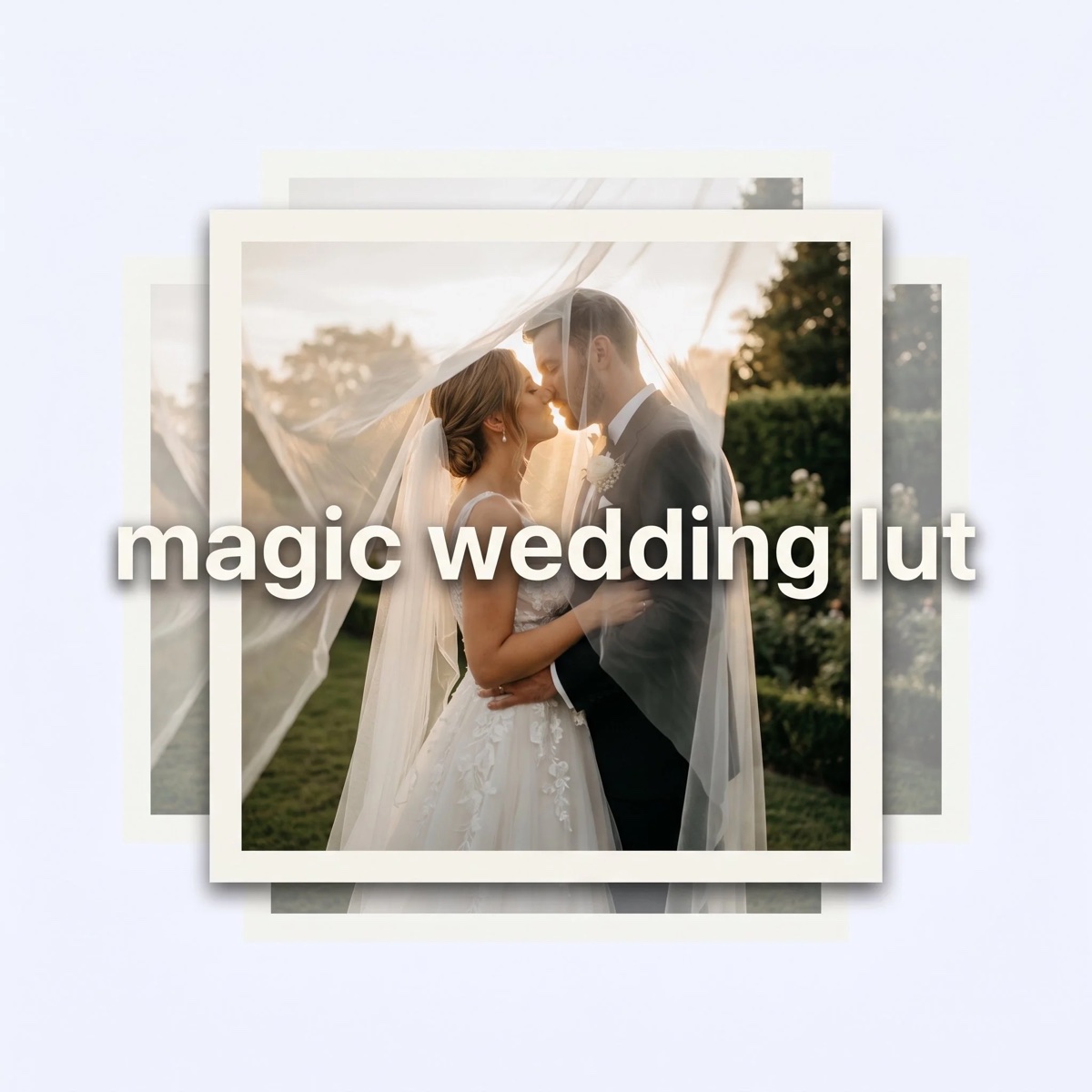 Portada de magic wedding lut