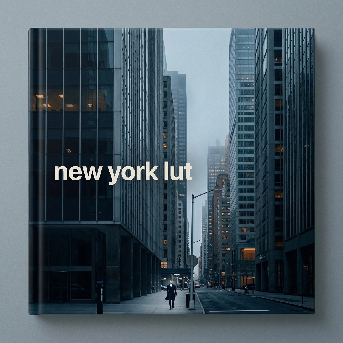 Portada de new york lut